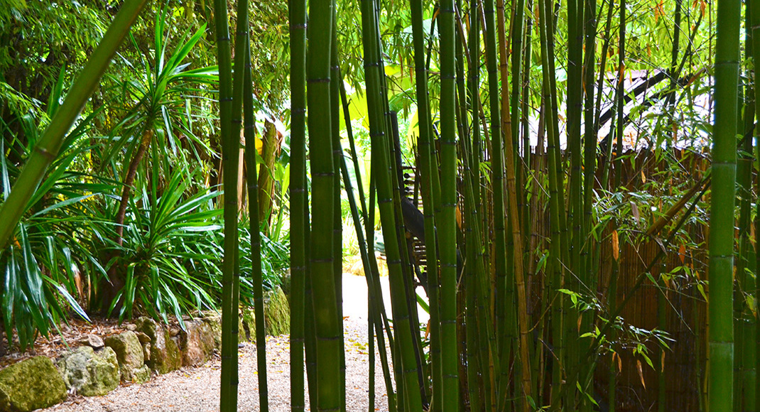 la roque gageac activite bambousaie 2