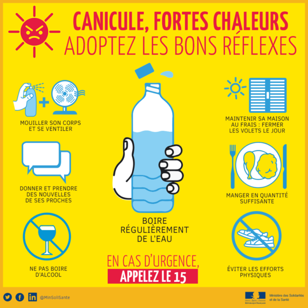 PLAN CANICULE e1666601131412