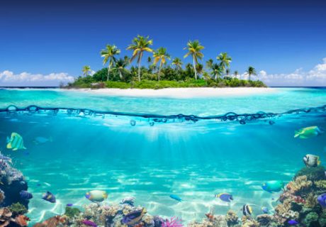 Split View Of Tropical Island And Coral Reef
